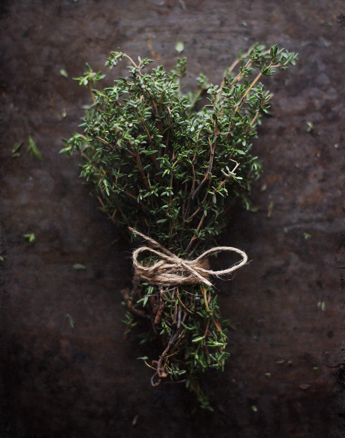 A bundle of freshly picked thyme stems bound with jute twine, tied in a bow.