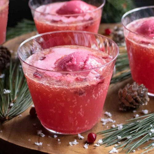 Holiday Party Punch