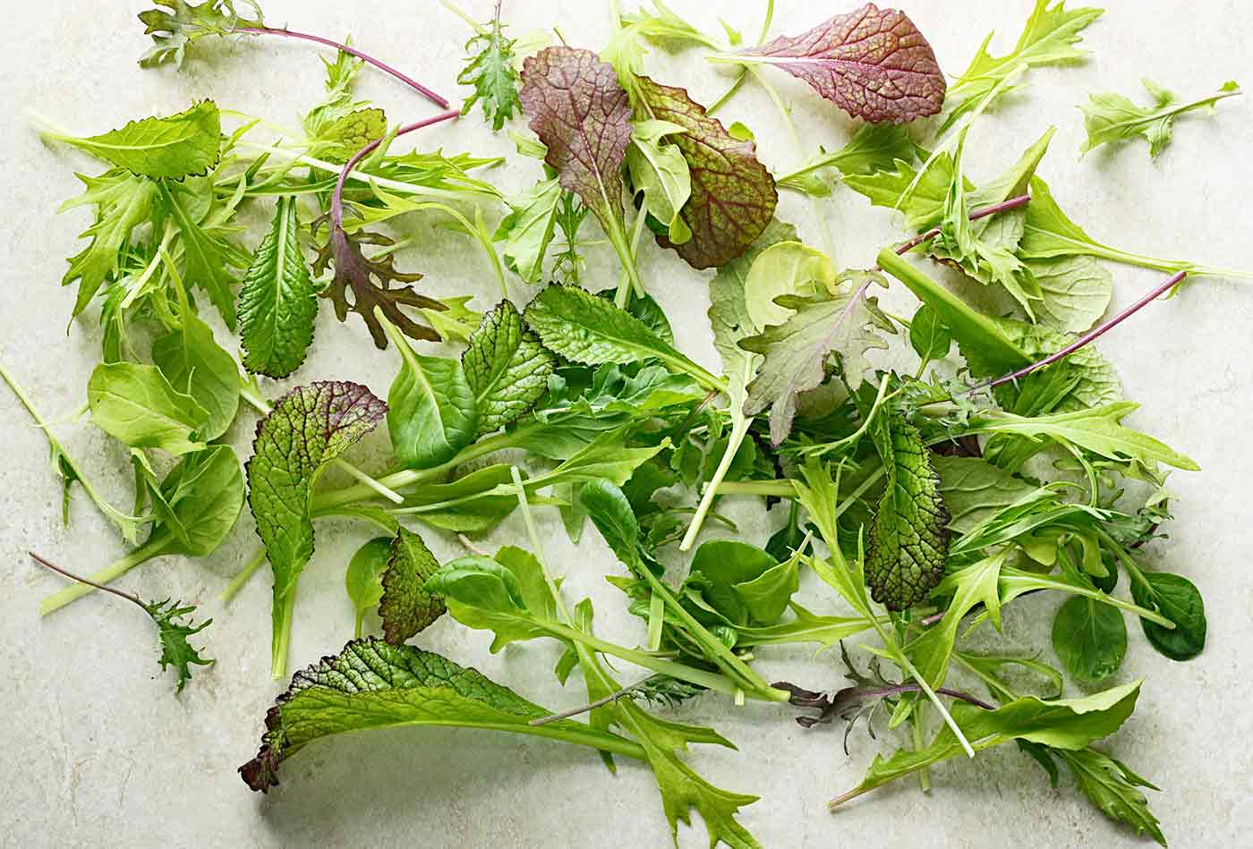 Spring baby greens mix