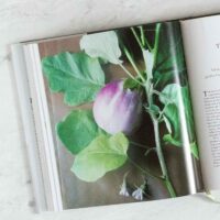 Favorite Vegetarian Cookbooks