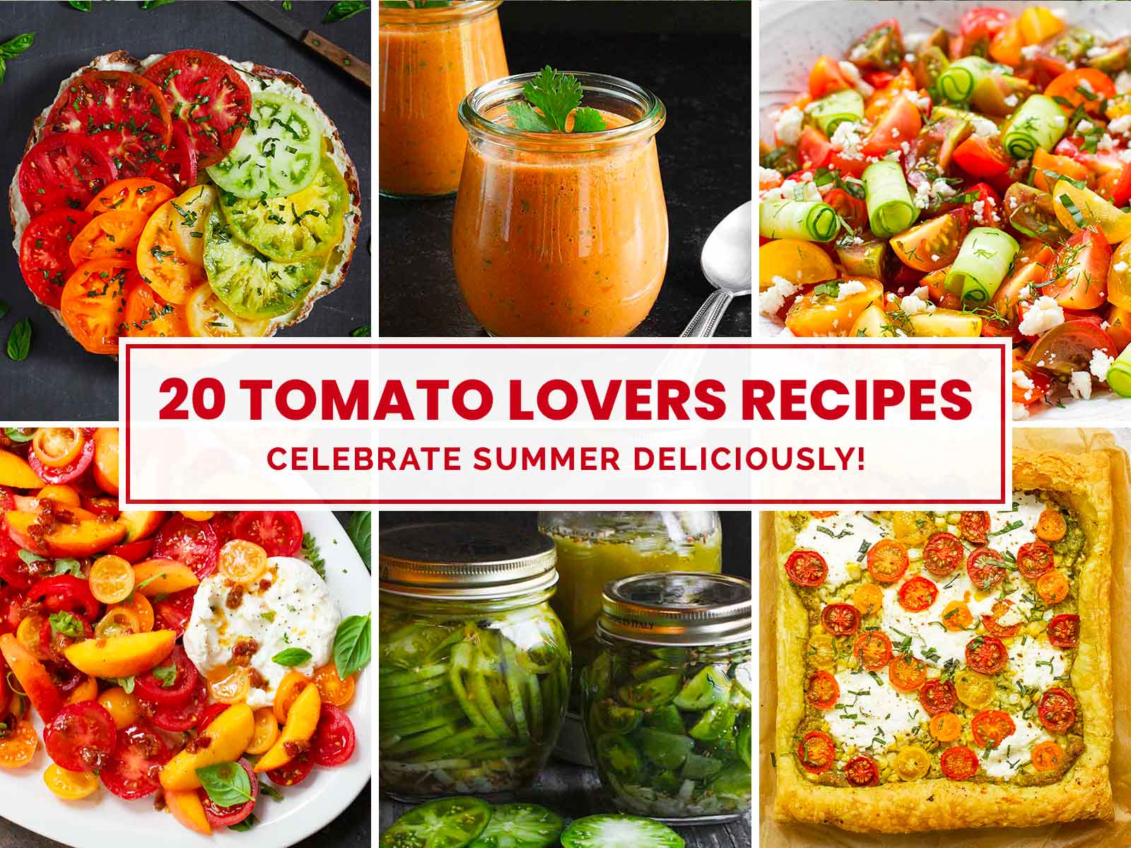 Photo collage featuring 6 tomato recipes for Tomato Lovers collection.