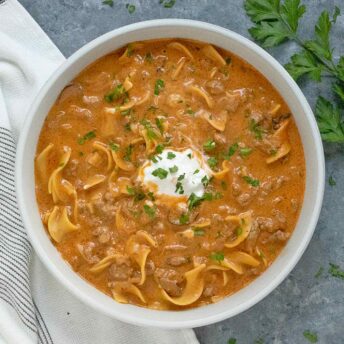 Beef Stroganoff Soup