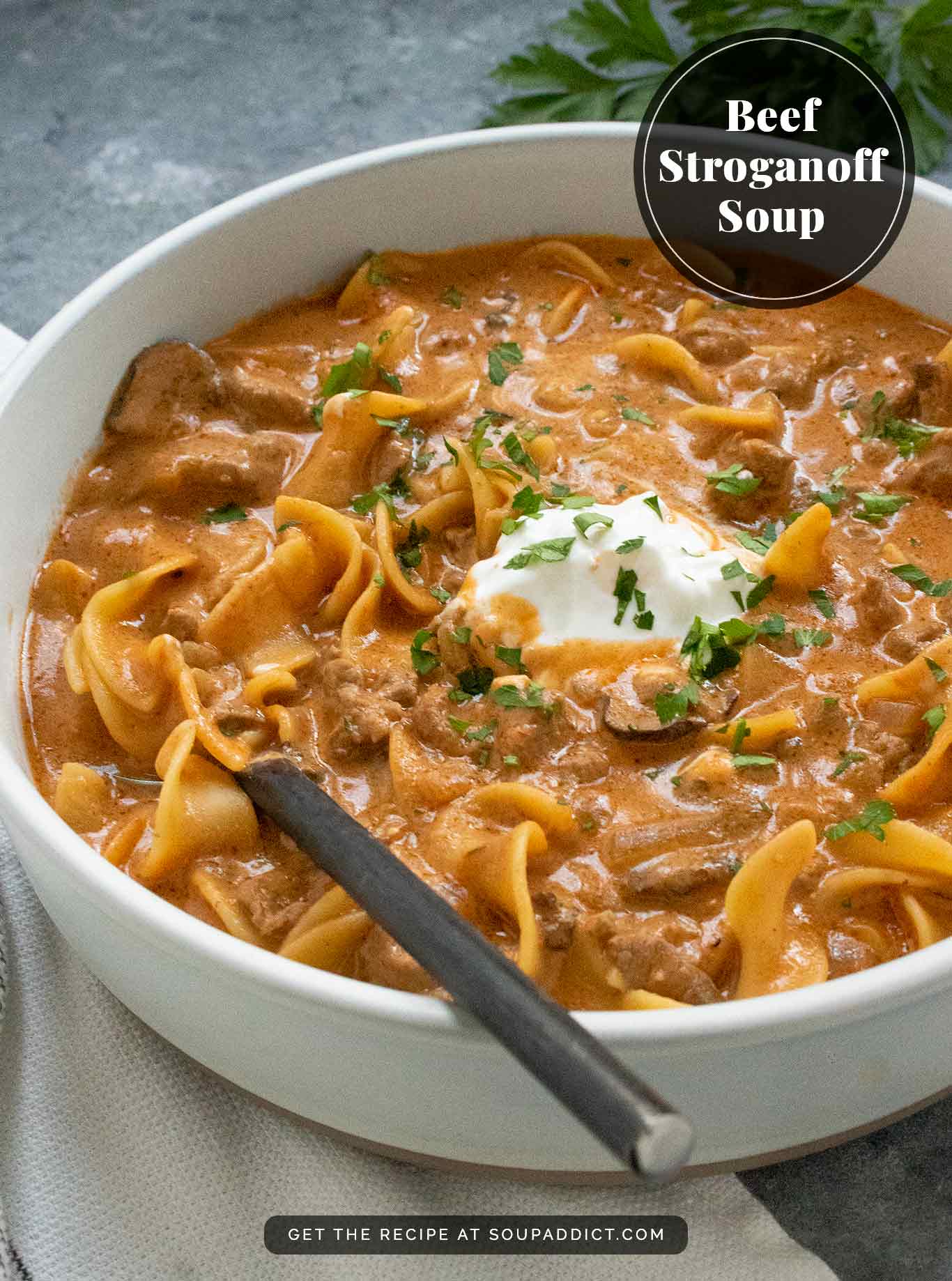 Beef Stroganoff Soup SoupAddict