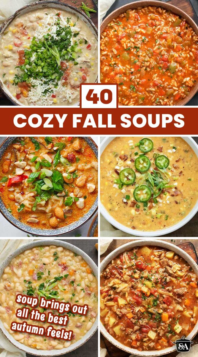 Pinterest pin image for Cozy Fall Soups, featuring a photo collage of six soups.