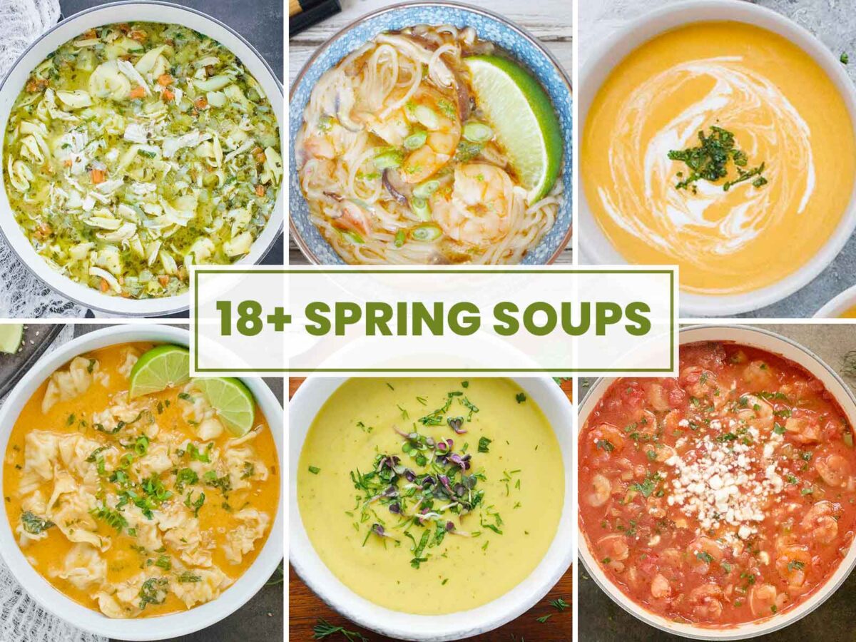 Photo collage of soups for Spring Soups post.