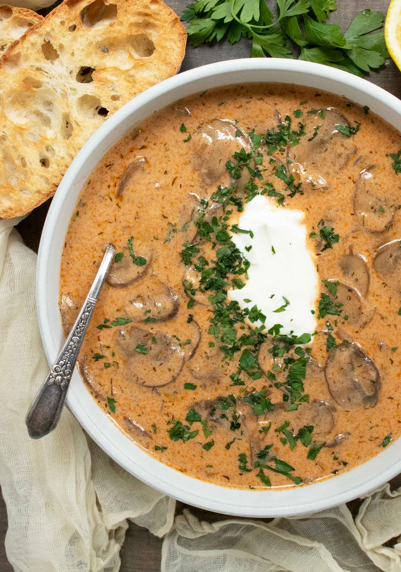 Close up view of a bowl of Hungarian Mushroom Soup.
