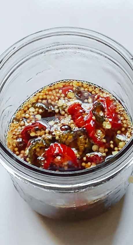 Jalapenos in their brine, cooling in a glass mason jar.