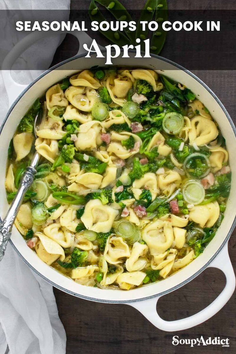 Pinterest pin image for Seasonal Soups to Cook in April.